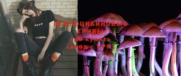 бошки Абинск