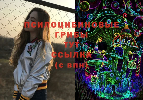 бошки Абинск