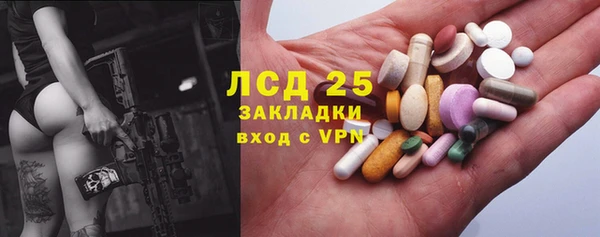 ПСИЛОЦИБИНОВЫЕ ГРИБЫ Абаза