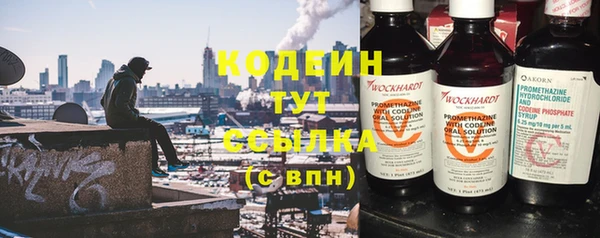 ПСИЛОЦИБИНОВЫЕ ГРИБЫ Абаза