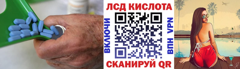 мега ссылки  Шилка  Лсд 25 экстази ecstasy  купить  цена 