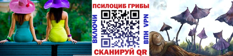 Галлюциногенные грибы Magic Shrooms  Шилка 